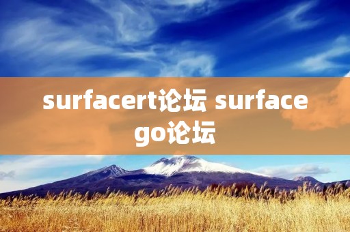 surfacert论坛 surfacego论坛