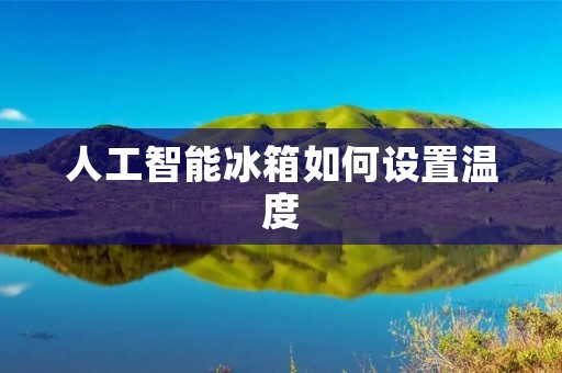 人工智能冰箱如何设置温度