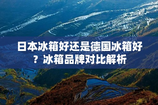 日本冰箱好还是德国冰箱好?冰箱品牌对比解析 日本冰箱好还是德国冰箱好?冰箱品牌对比解析