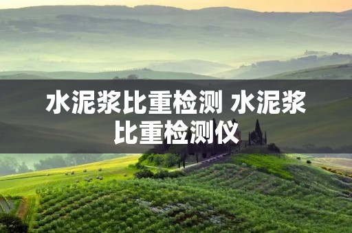 水泥浆比重检测 水泥浆比重检测仪