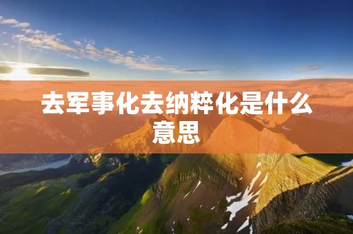 去军事化去纳粹化是什么意思