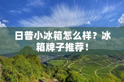 日普小冰箱怎么样?冰箱牌子推荐!