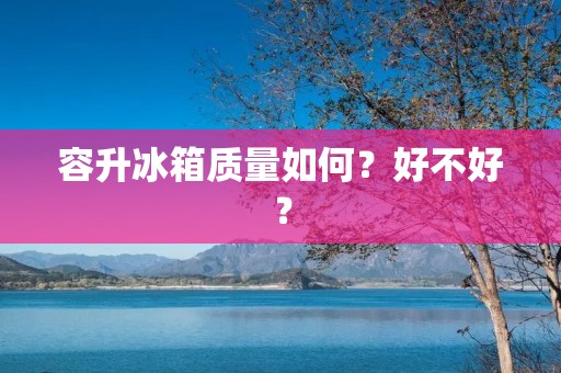 容升冰箱质量如何?好不好? 容升冰箱质量如何?好不好?
