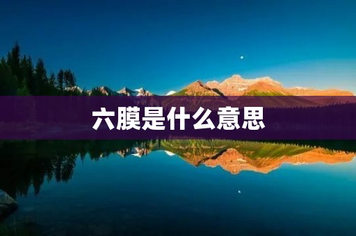 六膜是什么意思