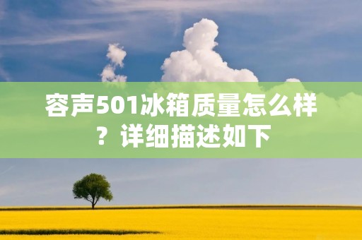 容声501冰箱质量怎么样?详细描述如下: 容声501冰箱质量怎么样?详细描述如下: