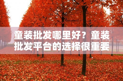 童装批发哪里好?童装批发平台的选择很重要! 童装批发哪里好?童装批发平台的选择很重要!