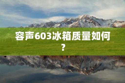 容声603冰箱质量如何？