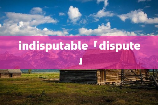 indisputable「dispute」
