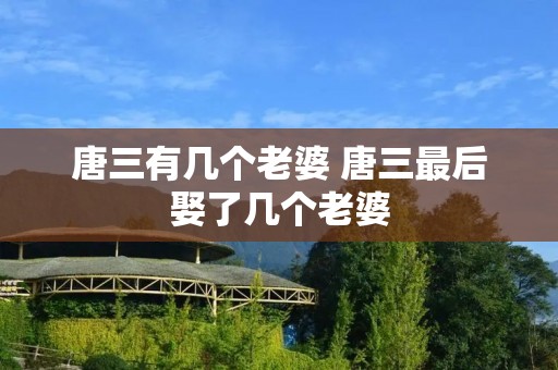 唐三有几个老婆 唐三最后娶了几个老婆