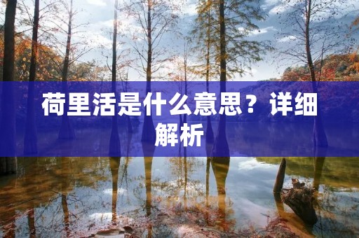 荷里活是什么意思?详细解析 荷里活是什么意思?详细解析
