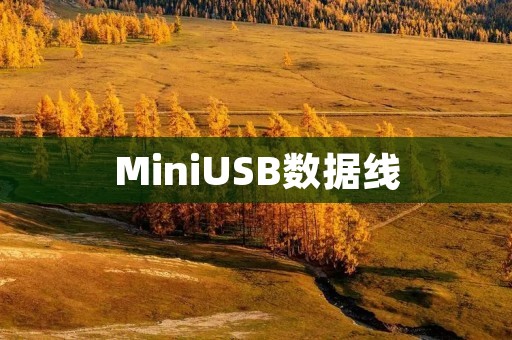 MiniUSB数据线:高效传输,方便充电的必备配件 MiniUSB数据线:高效传输,方便充电的必备配件