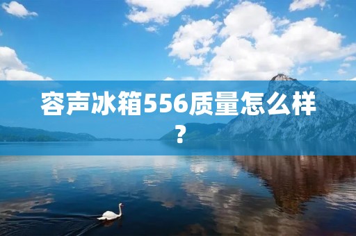 容声冰箱556质量怎么样? 容声冰箱556质量怎么样?