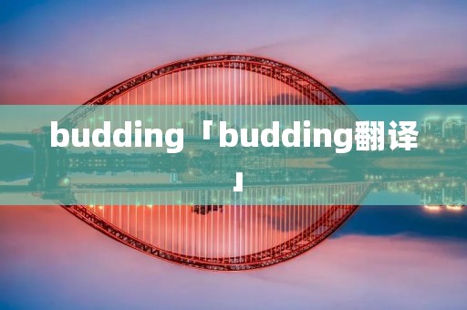 budding「budding翻译」