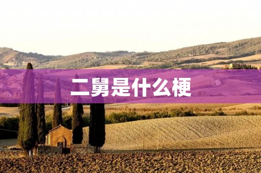 二舅是什么梗 二舅是什么梗