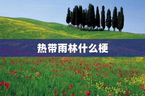 热带雨林什么梗 热带雨林什么梗