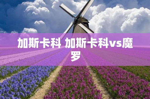 加斯卡科 加斯卡科vs魔罗