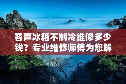 容声冰箱不制冷维修多少钱？专业维修师傅为您解答！