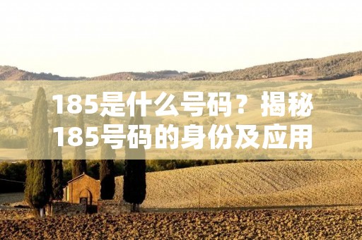 185是什么号码?揭秘185号码的身份及应用领域 185是什么号码?揭秘185号码的身份及应用领域