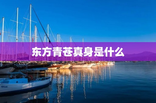 东方青苍真身是什么