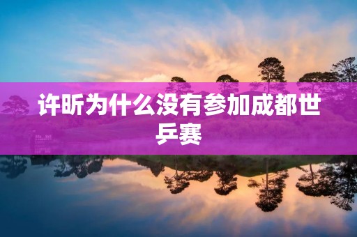 许昕为什么没有参加成都世乒赛
