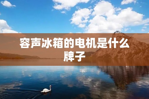 容声冰箱的电机是什么牌子 容声冰箱的电机是什么牌子