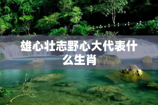 雄心壮志野心大代表什么生肖 雄心壮志野心大代表什么生肖