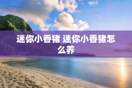 迷你小香猪 迷你小香猪怎么养