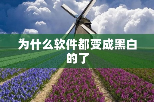 为什么软件都变成黑白的了