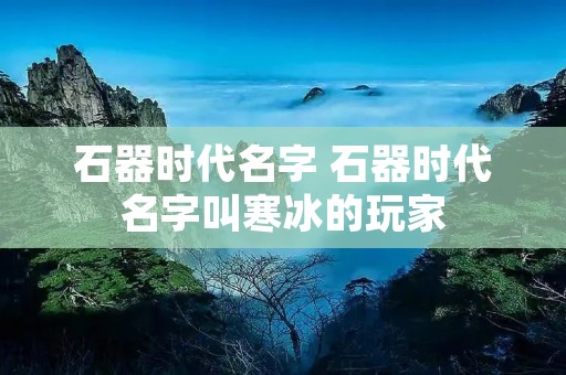 石器时代名字 石器时代名字叫寒冰的玩家