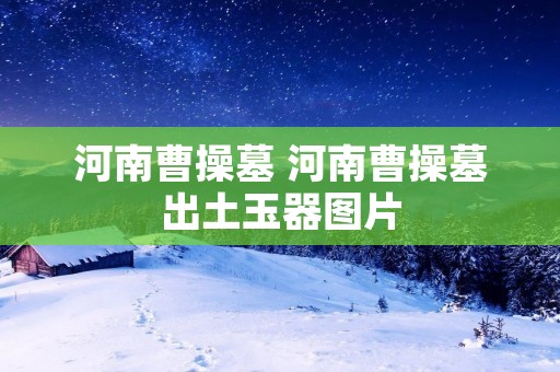 河南曹操墓 河南曹操墓出土玉器图片