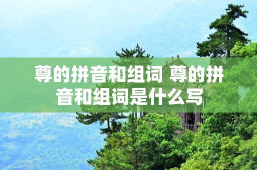 尊的拼音和组词 尊的拼音和组词是什么写