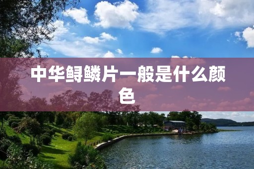 中华鲟鳞片一般是什么颜色