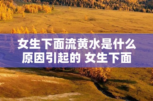 女生下面流黄水是什么原因引起的 女生下面流黄水是什么原因引起的呢