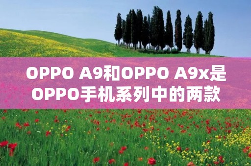 OPPO A9和OPPO A9x是OPPO手机系列中的两款产品，它们之间存在一些区别。