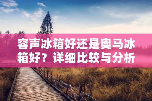 容声冰箱好还是奥马冰箱好?详细比较与分析 容声冰箱好还是奥马冰箱好?详细比较与分析