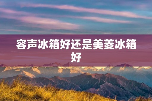 容声冰箱好还是美菱冰箱好：一场冰箱之争