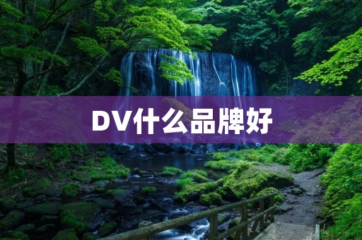 DV什么品牌好