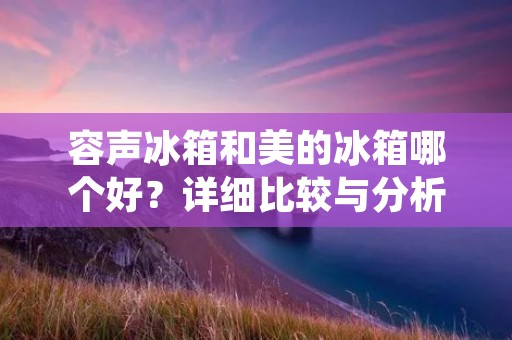 容声冰箱和美的冰箱哪个好？详细比较与分析