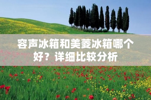 容声冰箱和美菱冰箱哪个好?详细比较分析 容声冰箱和美菱冰箱哪个好?详细比较分析