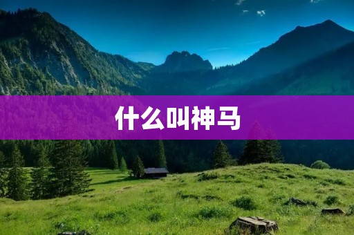 什么叫神马