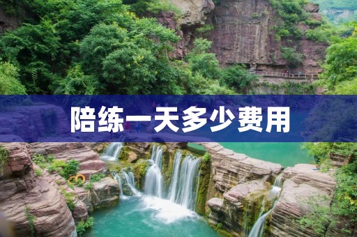 陪练一天多少费用 陪练一天多少费用