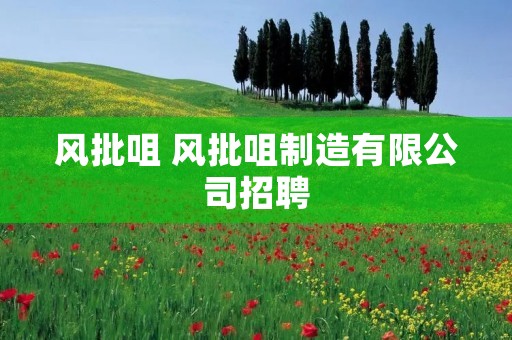 风批咀 风批咀制造有限公司招聘 风批咀 风批咀制造有限公司招聘