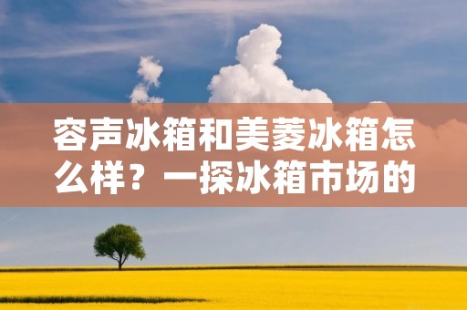 容声冰箱和美菱冰箱怎么样？一探冰箱市场的两大品牌