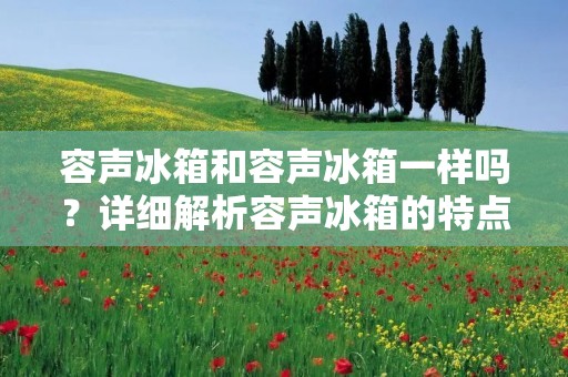 容声冰箱和容声冰箱一样吗?详细解析容声冰箱的特点与差异 容声冰箱和容声冰箱一样吗?详细解析容声冰箱的特点与差异