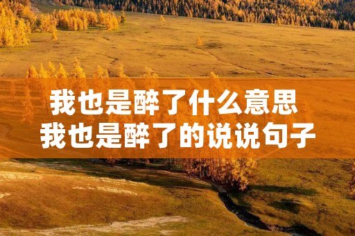 我也是醉了什么意思 我也是醉了的说说句子