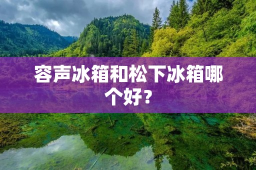 容声冰箱和松下冰箱哪个好？