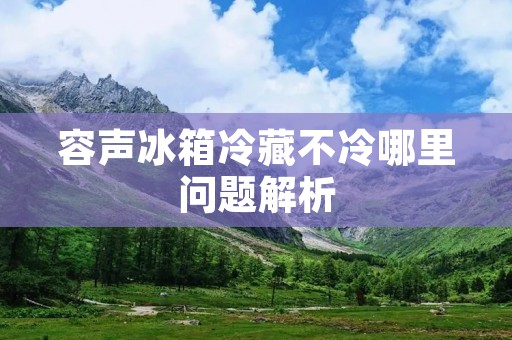 容声冰箱冷藏不冷哪里问题解析