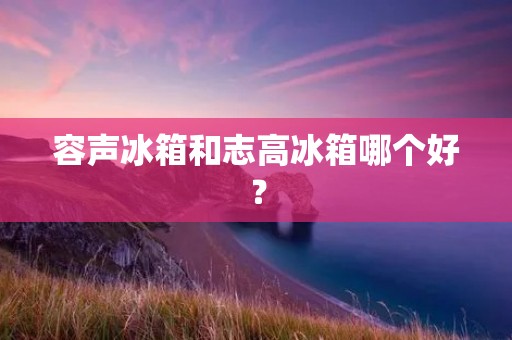 容声冰箱和志高冰箱哪个好？