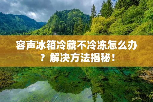 容声冰箱冷藏不冷冻怎么办?解决方法揭秘! 容声冰箱冷藏不冷冻怎么办?解决方法揭秘!