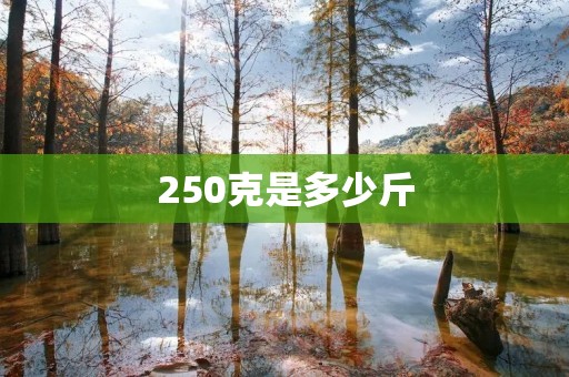 250克是多少斤 250克是多少斤